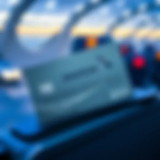 A visual representation of premium travel perks associated with the card