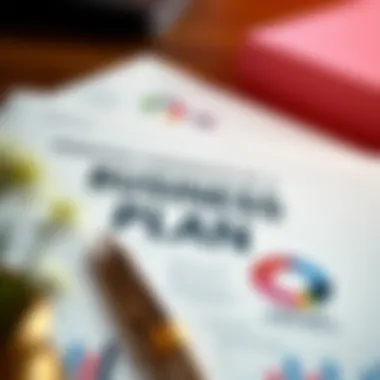 Essential Components of a Business Plan Infographic detailing essential components of a business plan