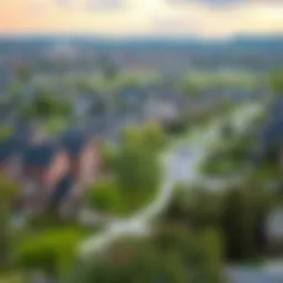 A serene landscape of a suburban neighborhood with homes
