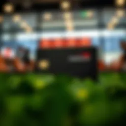 An overview of Capital One's rewards program structure