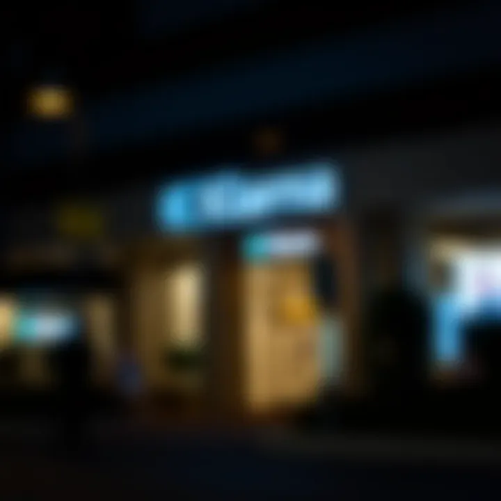 Notable Exploring the Banking Partnership Behind Klarna's Financial Services