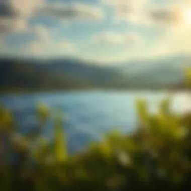 Solar Farm for Cryptocurrency Mining Landscape of a solar farm dedicated to cryptocurrency mining