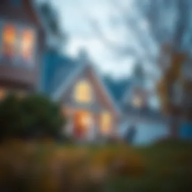 Strategies for Efficient Mortgage Repayment Introduction Strategies for Efficient Mortgage Repayment Introduction