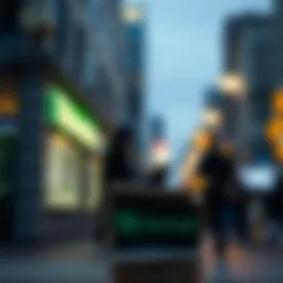 Overview of TD Ameritrade Money Market Accounts