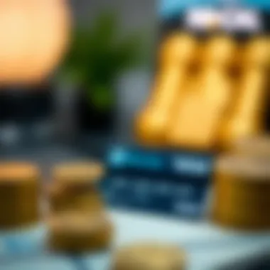 Types of APR for Credit Cards Infographic on different types of APR