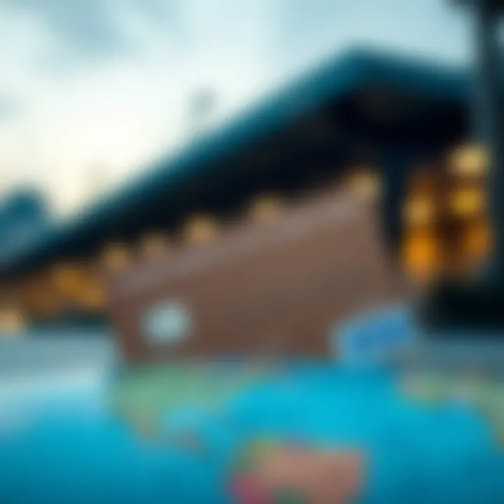 Notable Understanding Expat Credit Cards