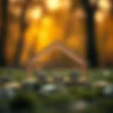 Illustration of Variable Rate IRA structure